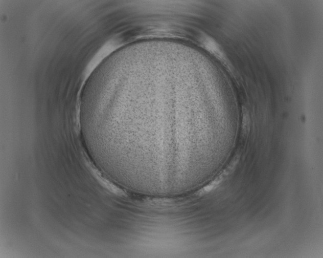 X0000067851370200604271634