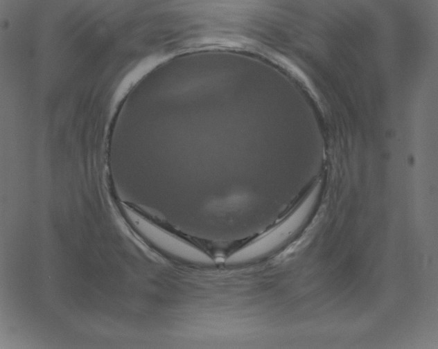 X0000067851373200604271634