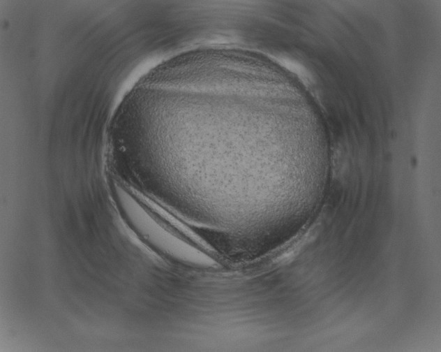 X0000067851374200604271634