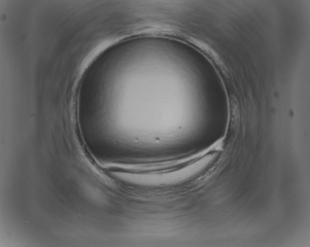 X0000067851375200604271634