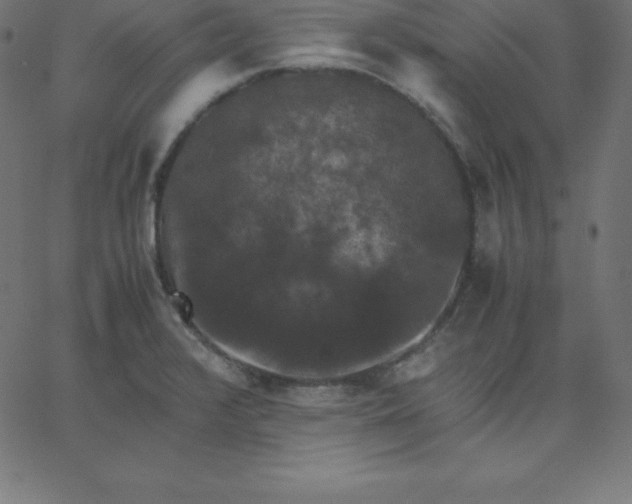 X0000067851376200604271634