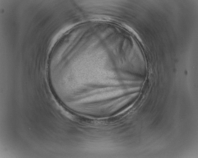 X0000067851379200604271634