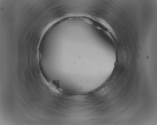 X0000067851380200604271634