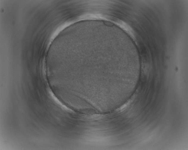 X0000067851382200604271634