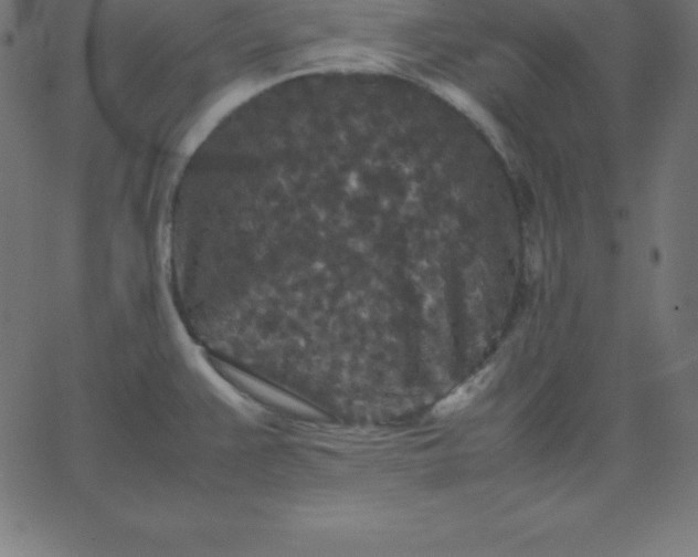 X0000067851383200604271634