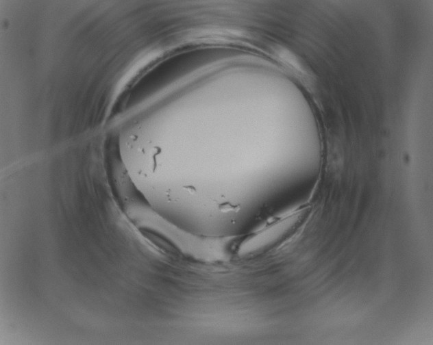 X0000067851384200604271634