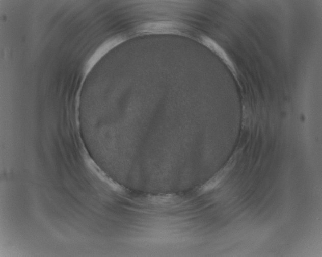 X0000067851386200604271634