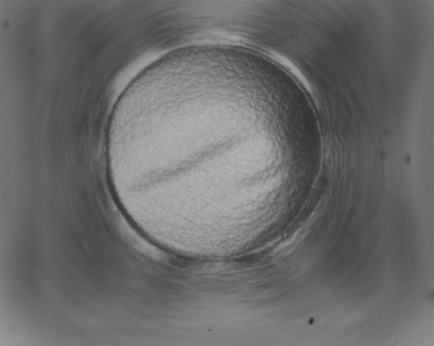 X0000067851387200604271634