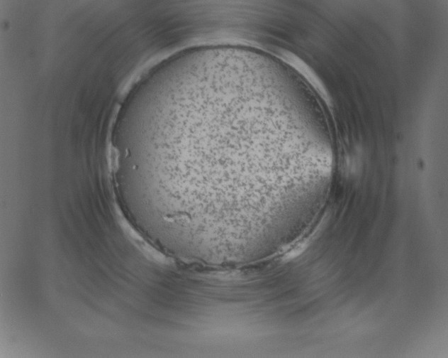 X0000067851388200604271634