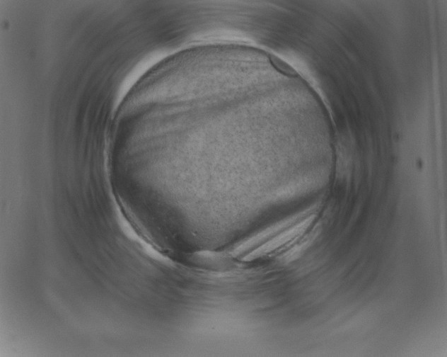 X0000067851390200604271634