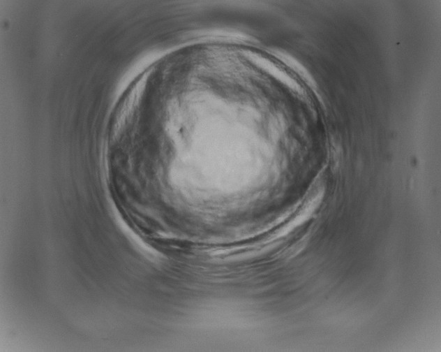 X0000067851391200604271634