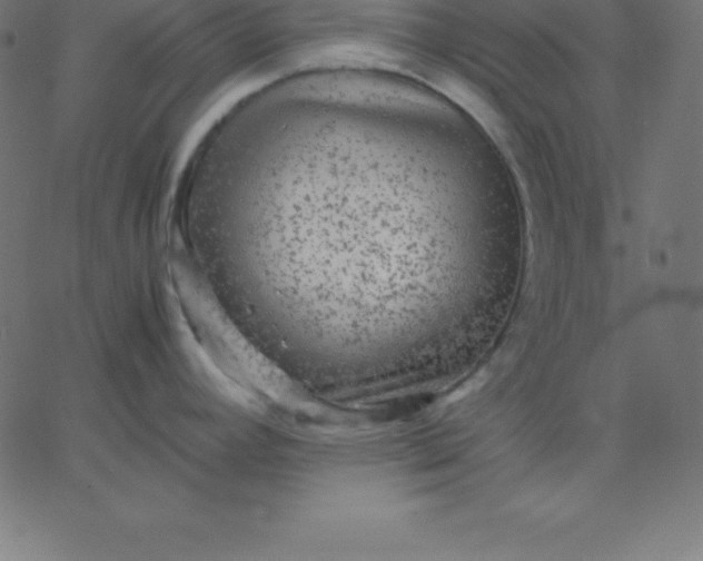 X0000067851392200604271634