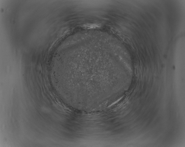 X0000067851393200604271633