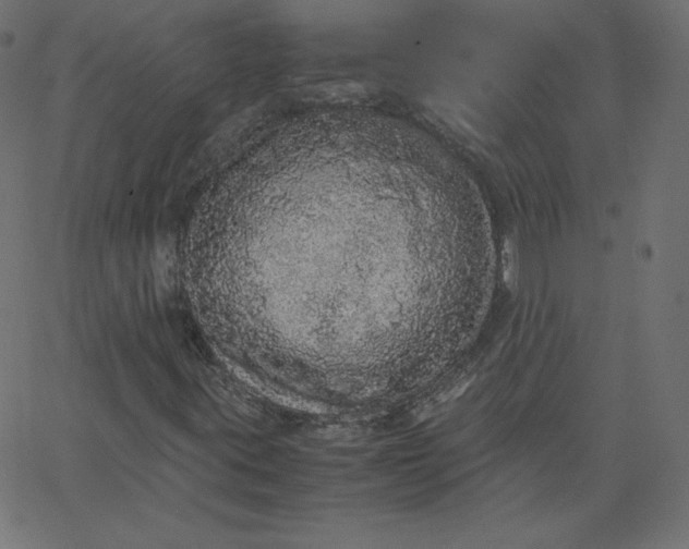 X0000067851395200604271633