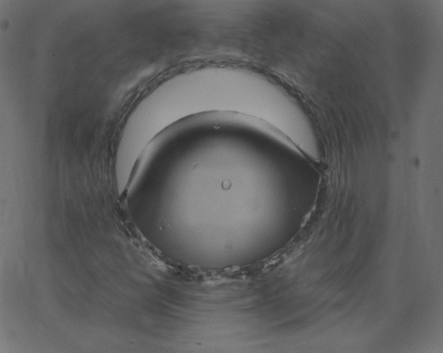 X0000067851398200604271633