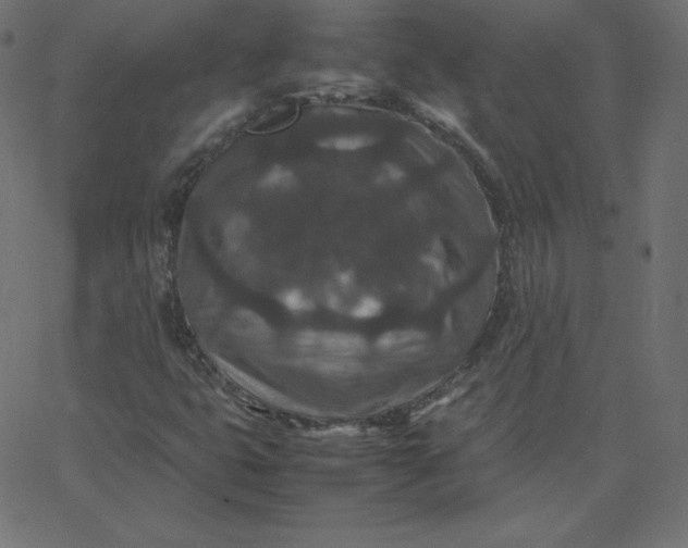 X0000067851399200604271633