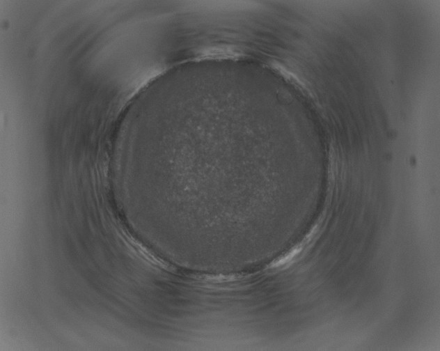 X0000067851401200604271633