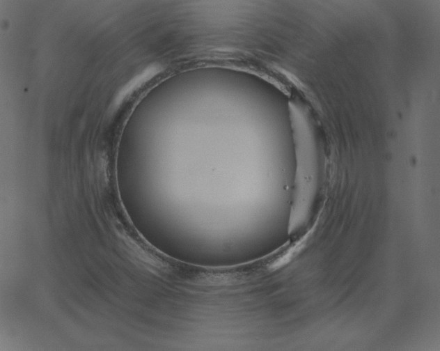 X0000067851402200604271633