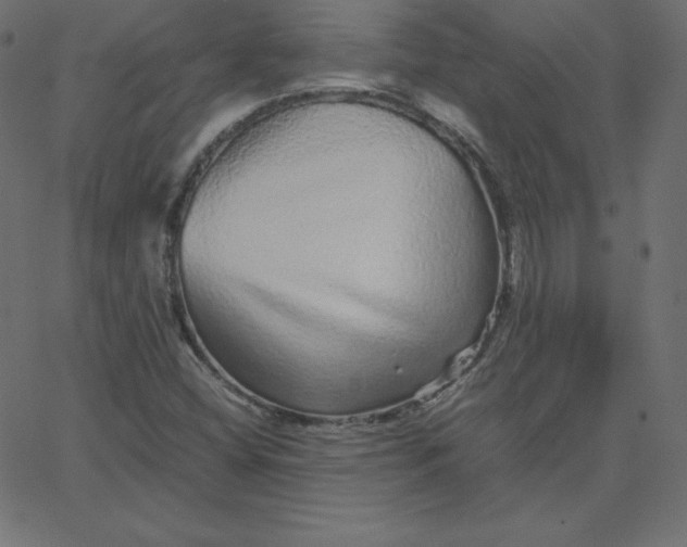 X0000067851404200604271633