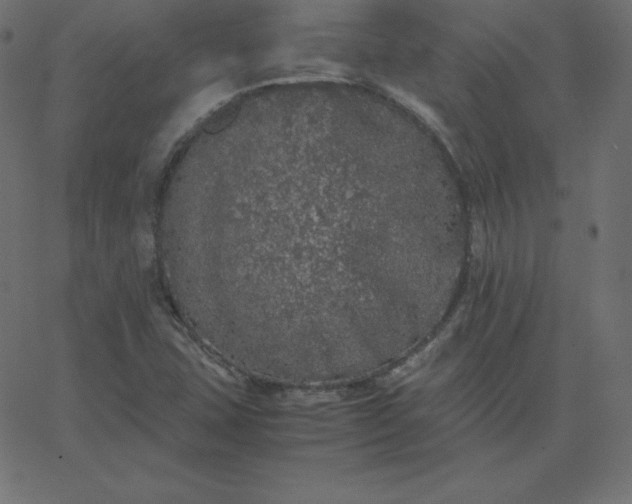 X0000067851407200604271633