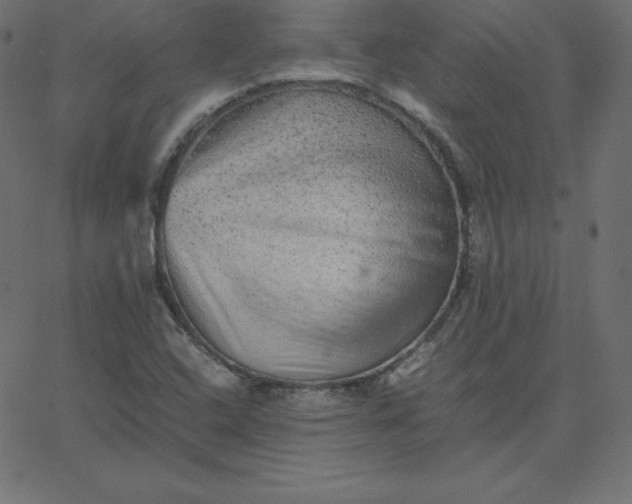 X0000067851408200604271633