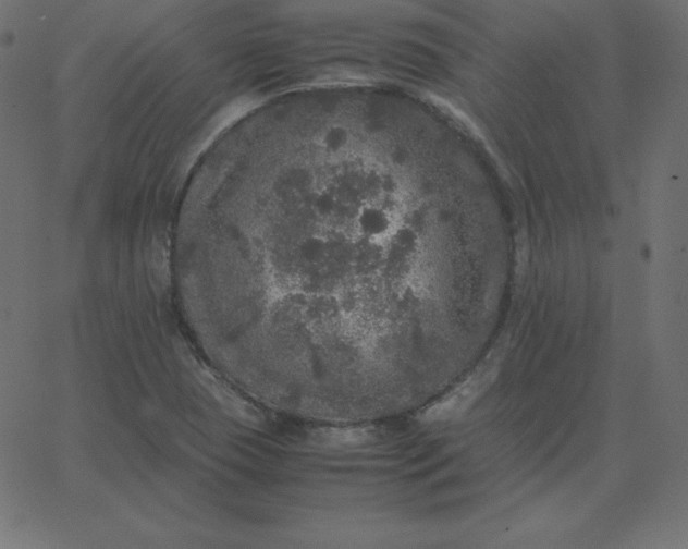 X0000067851409200604271633