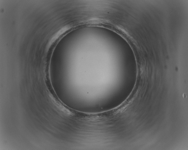 X0000067851410200604271633