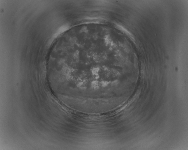 X0000067851411200604271633