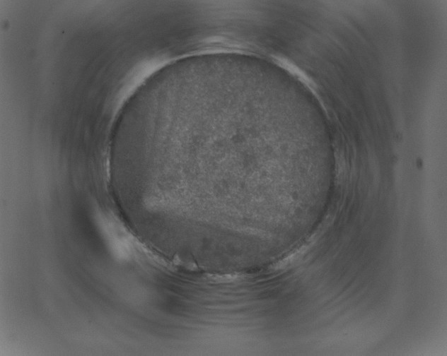 X0000067851415200604271633