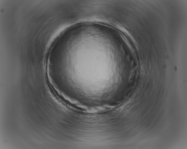 X0000067851416200604271633