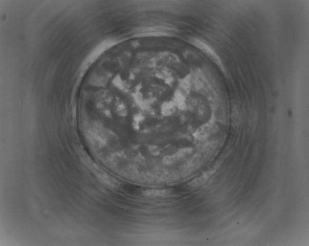 X0000067851419200604271633