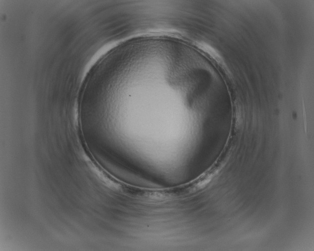 X0000067851420200604271633