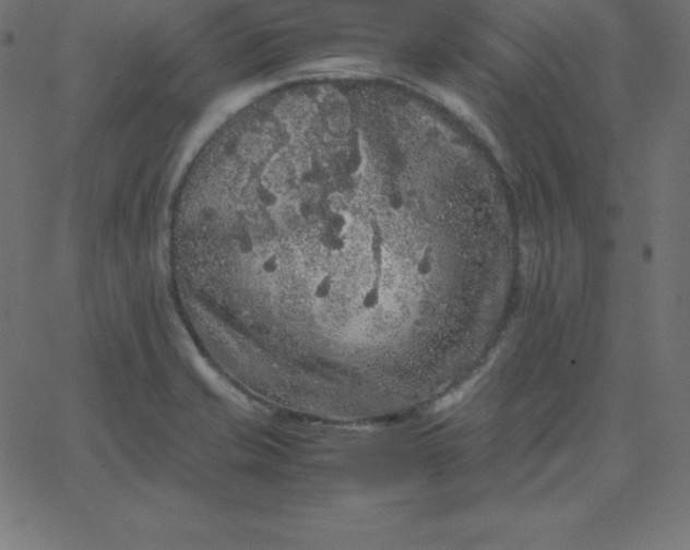 X0000067851421200604271633