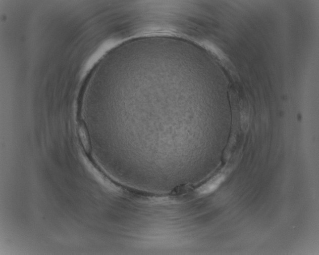 X0000067851422200604271633