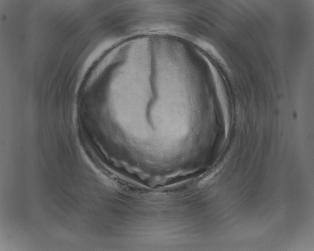 X0000067851424200604271633