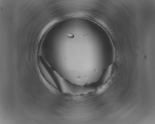 X0000067851426200604271633