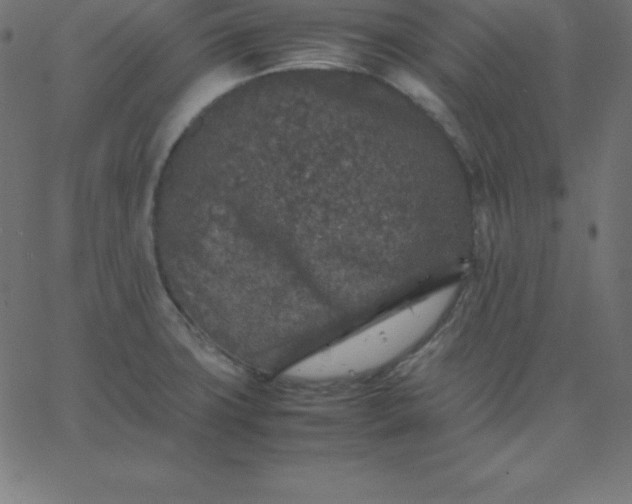 X0000067851427200604271634