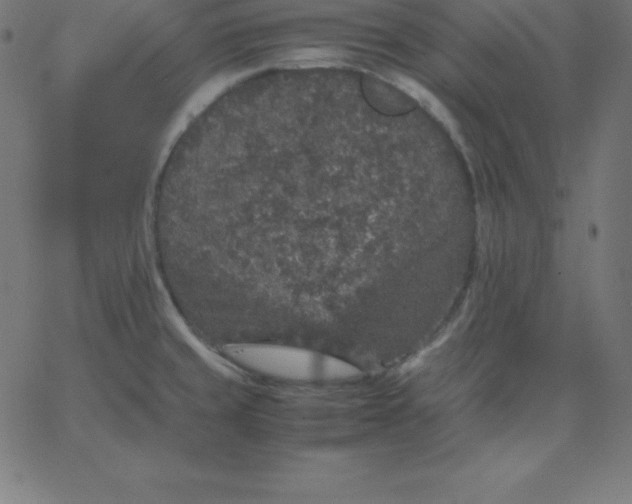 X0000067851429200604271634