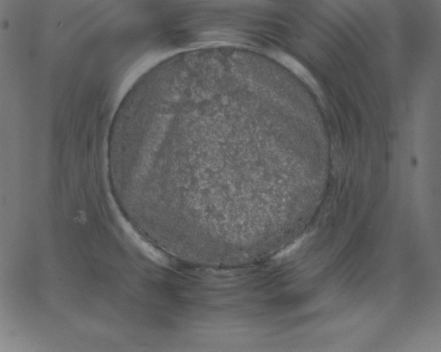 X0000067851431200604271634