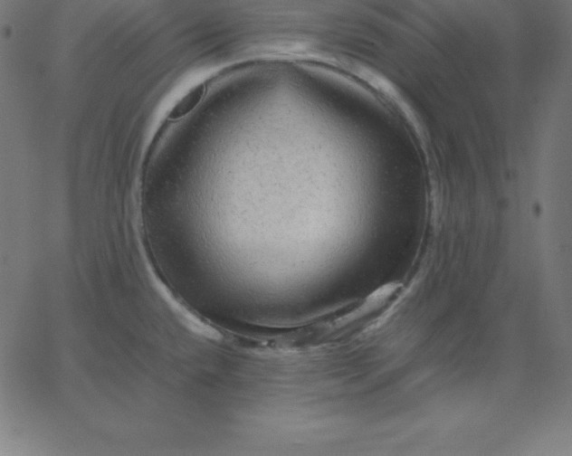 X0000067851432200604271634