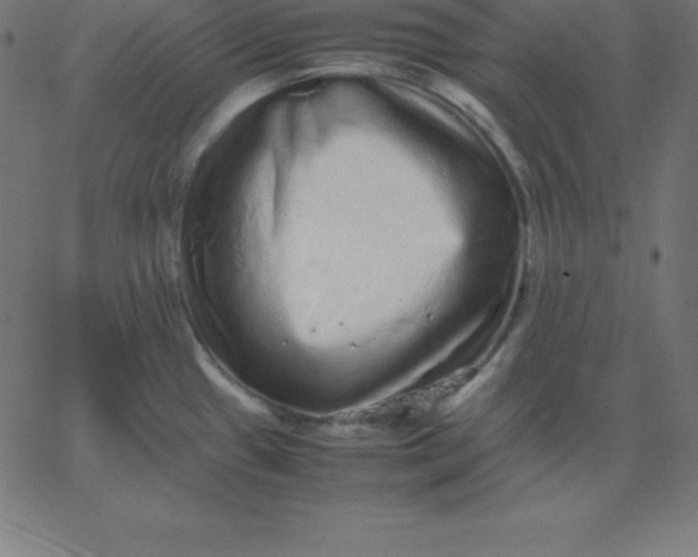 X0000067851433200604271634