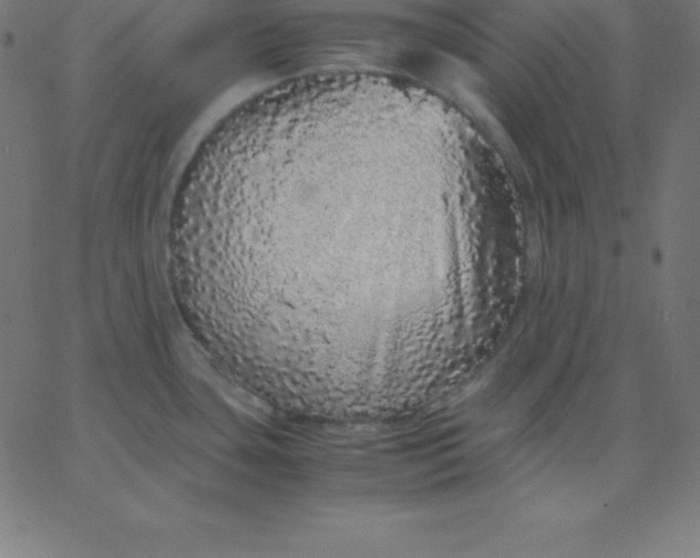 X0000067851435200604271634