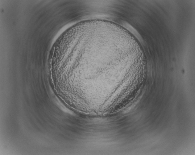 X0000067851436200604271634