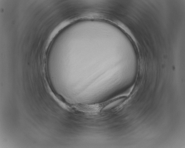 X0000067851437200604271634