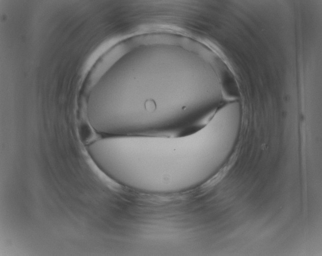 X0000067851438200604271634