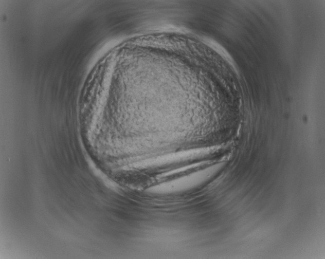 X0000067851439200604271634