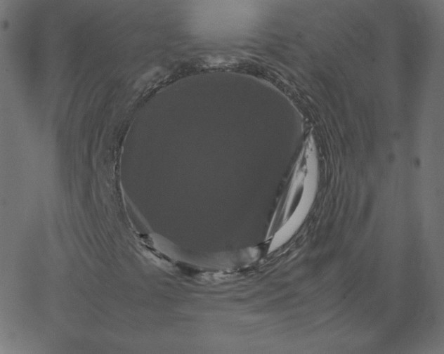 X0000067851441200604271633