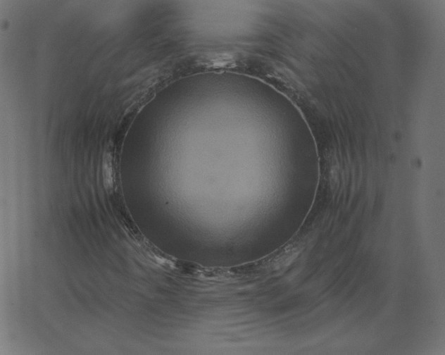 X0000067851442200604271633