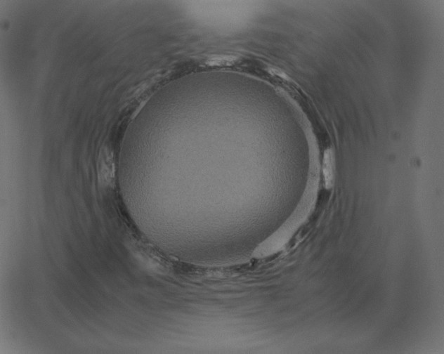 X0000067851443200604271633