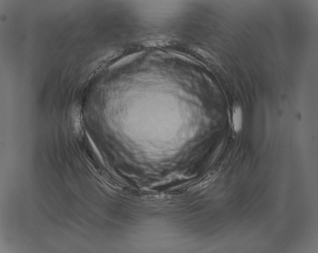 X0000067851444200604271633